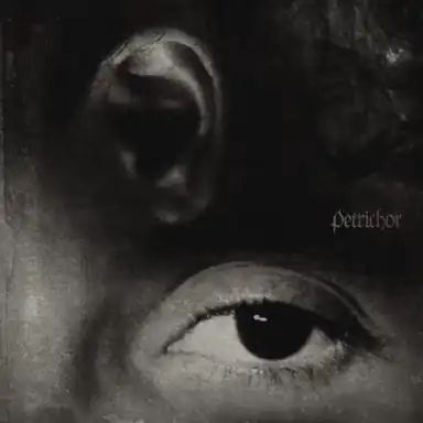 Song to the Siren ft. Courtney Love album art
