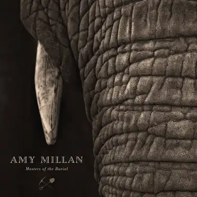 I Will Follow You Into the Dark album art