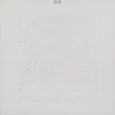 I Can't Make You Love Me album art