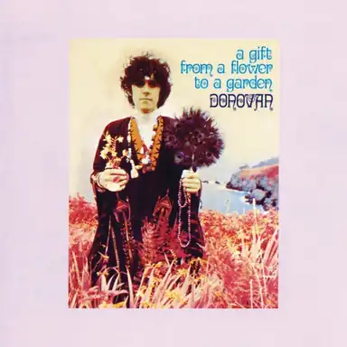 A Gift From A Flower To A Garden album art