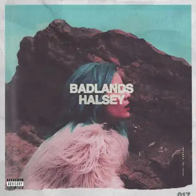 I Walk The Line album art