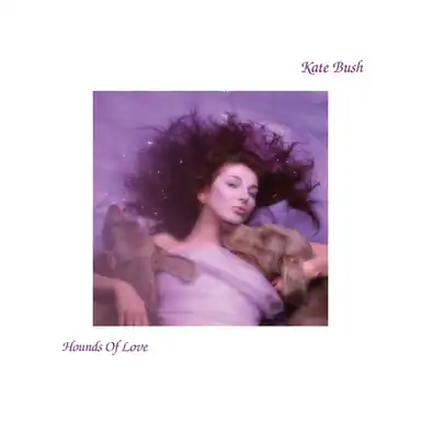 Hounds Of Love album art