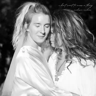 I Don't Want to Miss a Thing album art