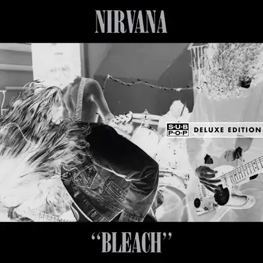 Bleach album art
