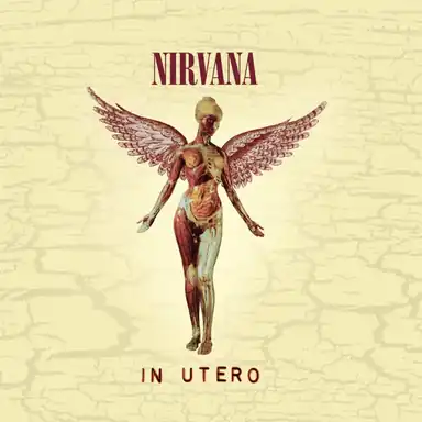 In Utero (Deluxe Edition) album art