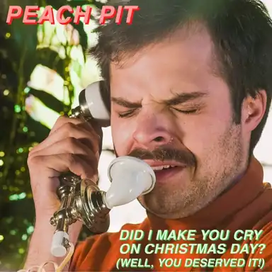 Did I Make You Cry on Christmas Day? album art