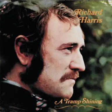 A Tramp Shining album art