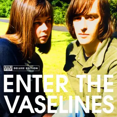 Enter The Vaselines (Deluxe Edition) album art