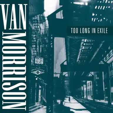 Too Long in Exile album art