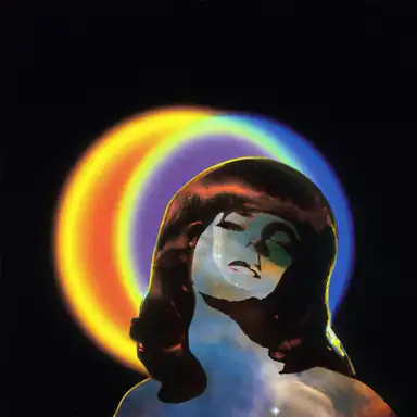 Look at What the Light Did Now album art